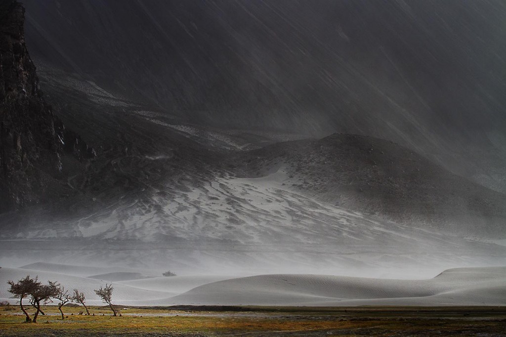 Nubra Valley, Ladakh